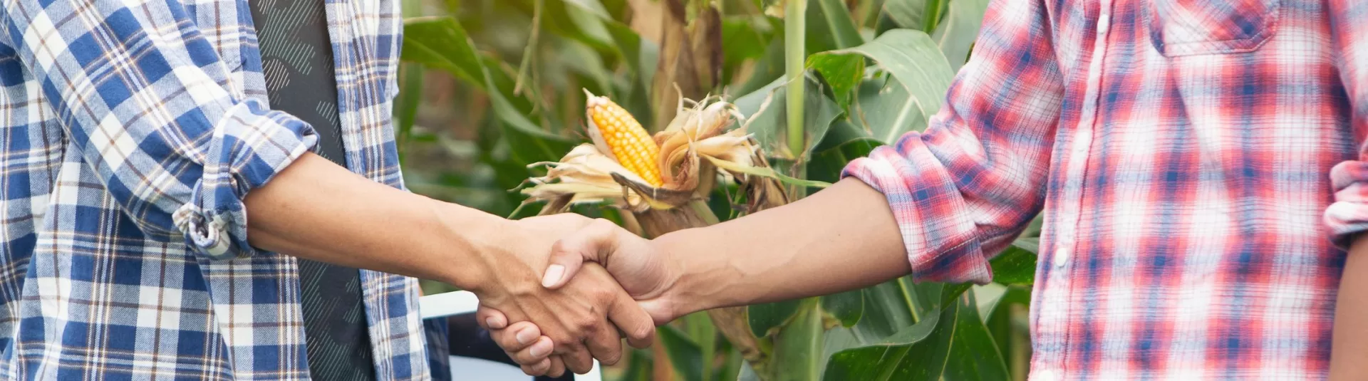 Positive Relationships Between Farmers and Butchers: Supporting Consumers and the Wider Economy