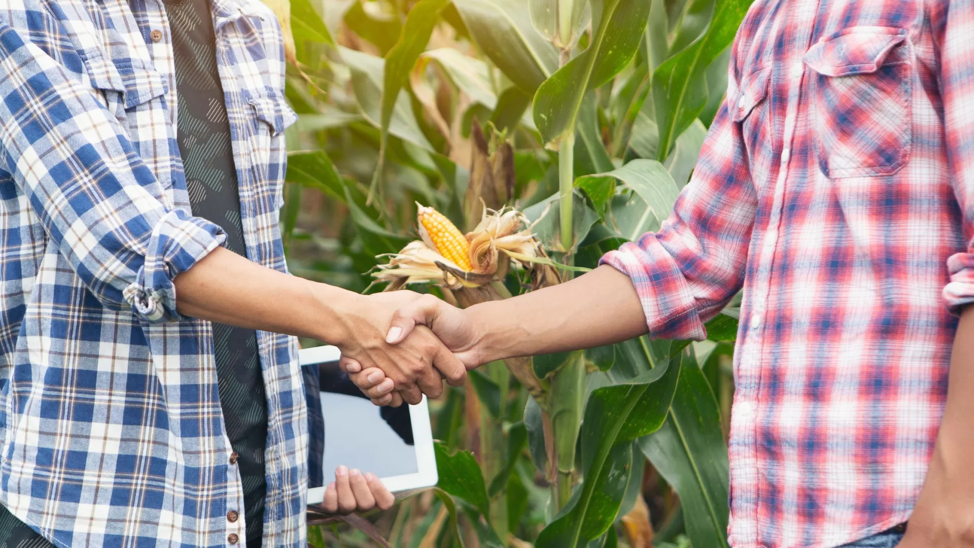 Positive Relationships Between Farmers and Butchers: Supporting Consumers and the Wider Economy